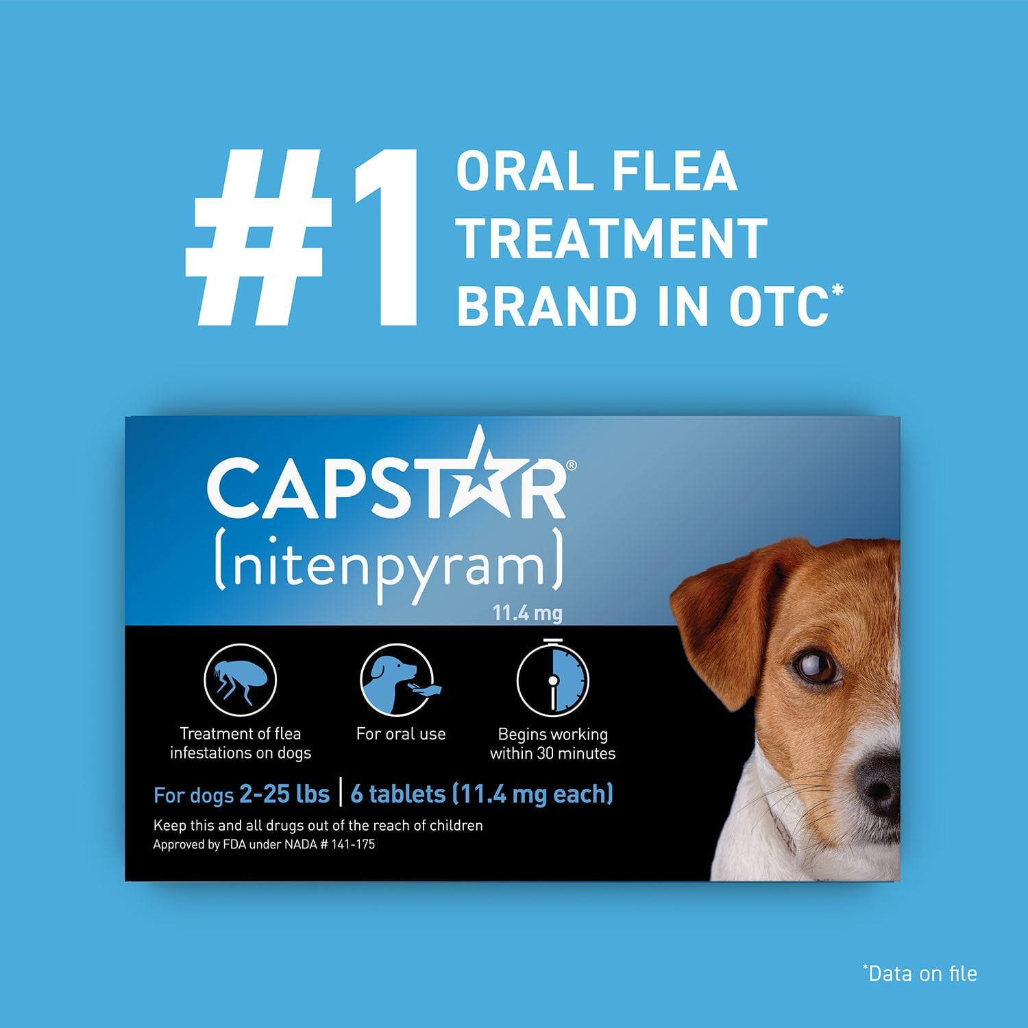PetArmor Plus Capstar ノミ・ダニ駆除剤 小型犬用 3 か月分、5 ～ 22 ポンド。