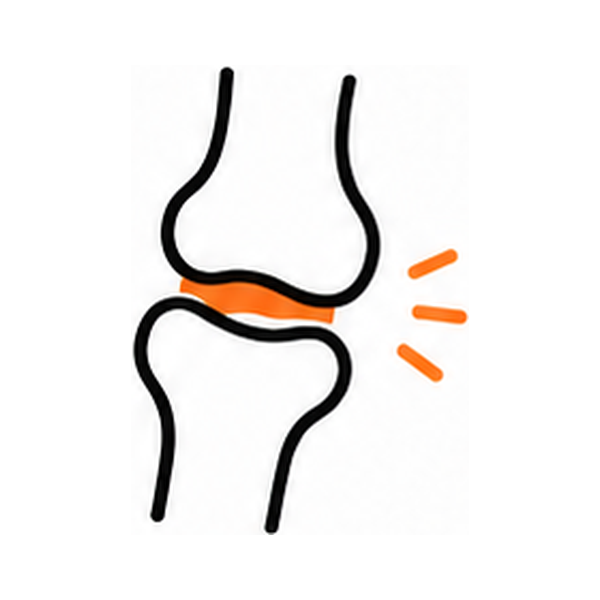 Bone & Joint Health (뼈·관절건강)