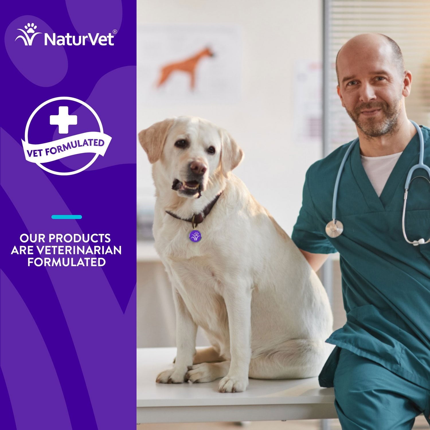 Evolutions by NaturVet、オールインワン プラス スーパーフード、犬用ソフトチュー、180 個。