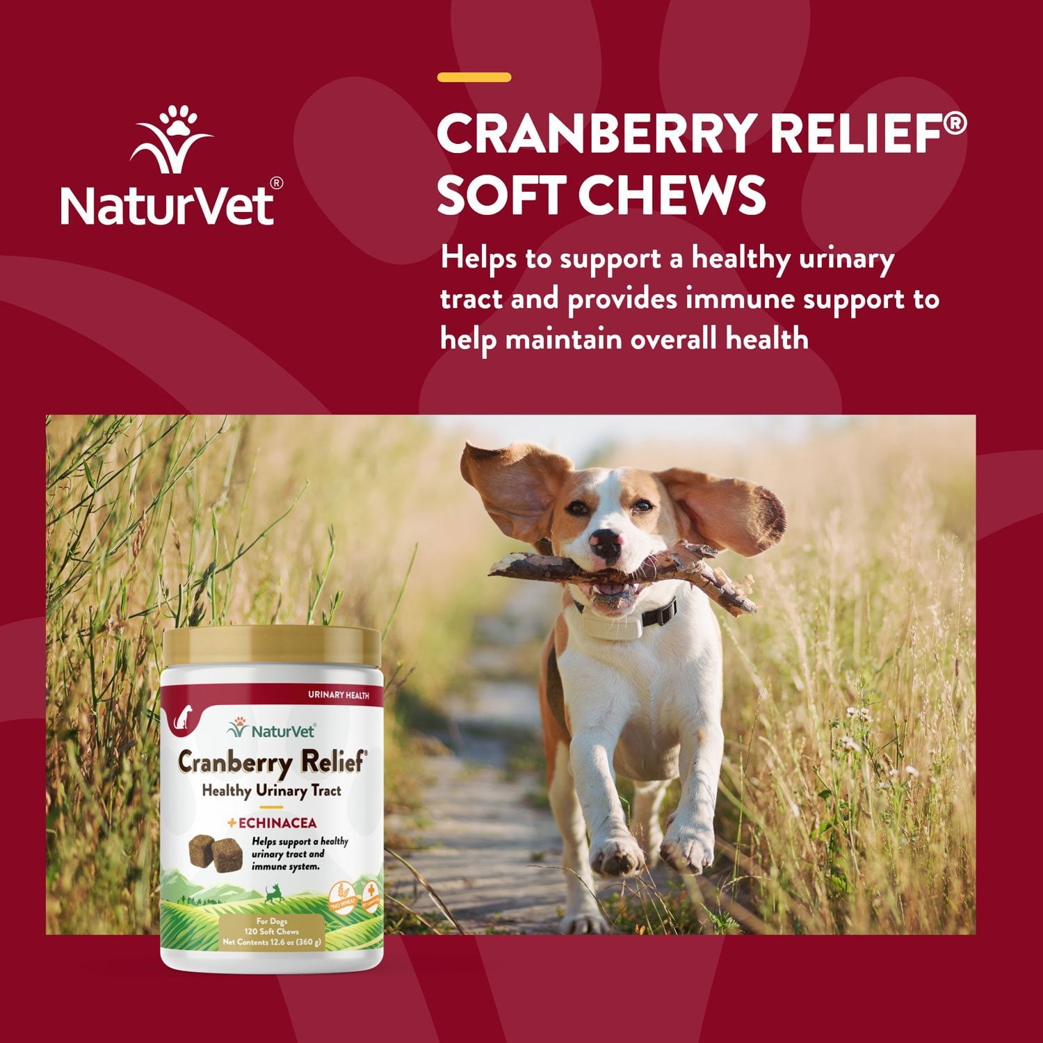 NaturVet、犬用クランベリーリリーフプラスエキナセアソフトチュー、120 個。