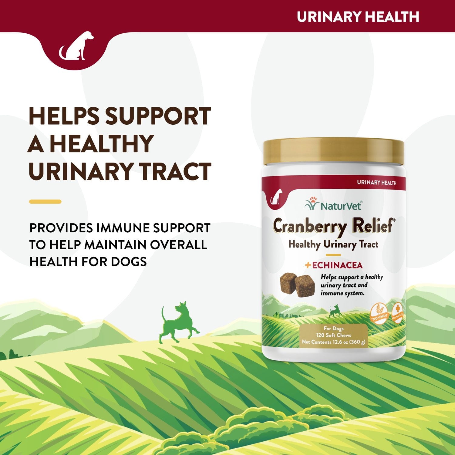 NaturVet、犬用クランベリーリリーフプラスエキナセアソフトチュー、120 個。