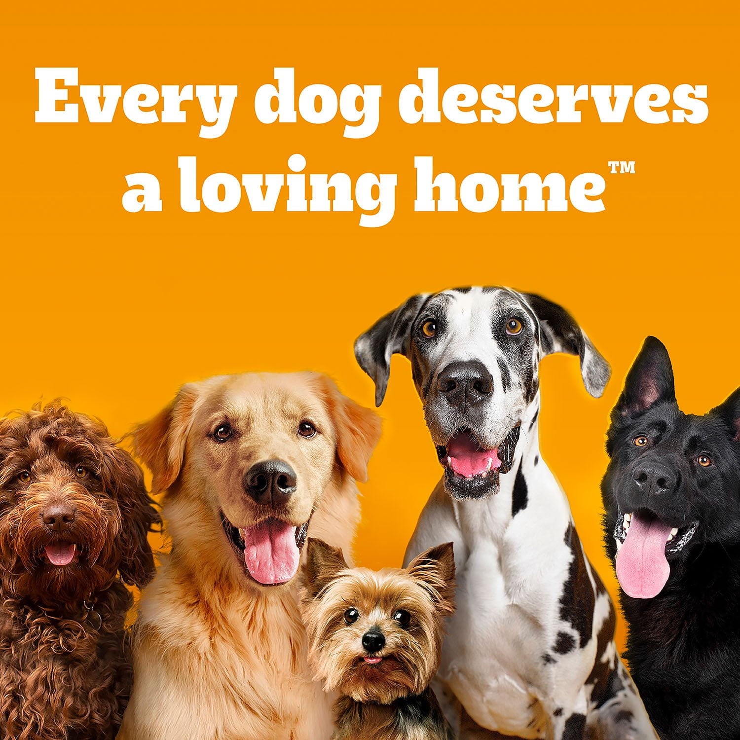 ペディグリー DENTASTIX™、バラエティパック、成犬用大型犬用デンタルトリーツ、65個入り