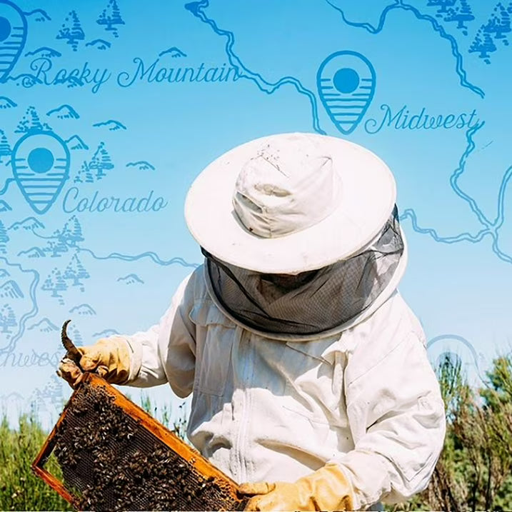 Local Hive フロリダ産生・無濾過ハチミツ、40 オンス。