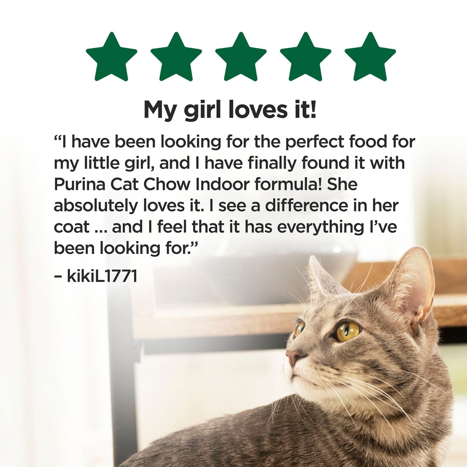 ピュリナ、キャットチャウ、チキン室内成猫用ドライキャットフード、毛玉対策・健康的な体重管理、25ポンド。