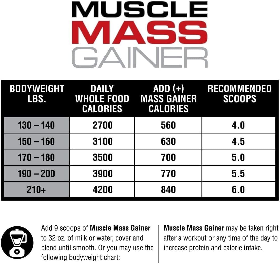라브라다 머슬 매스 게이너 초콜릿 12lb – 체중 증가와 벌크업을 위한 고칼로리 매스 게이너