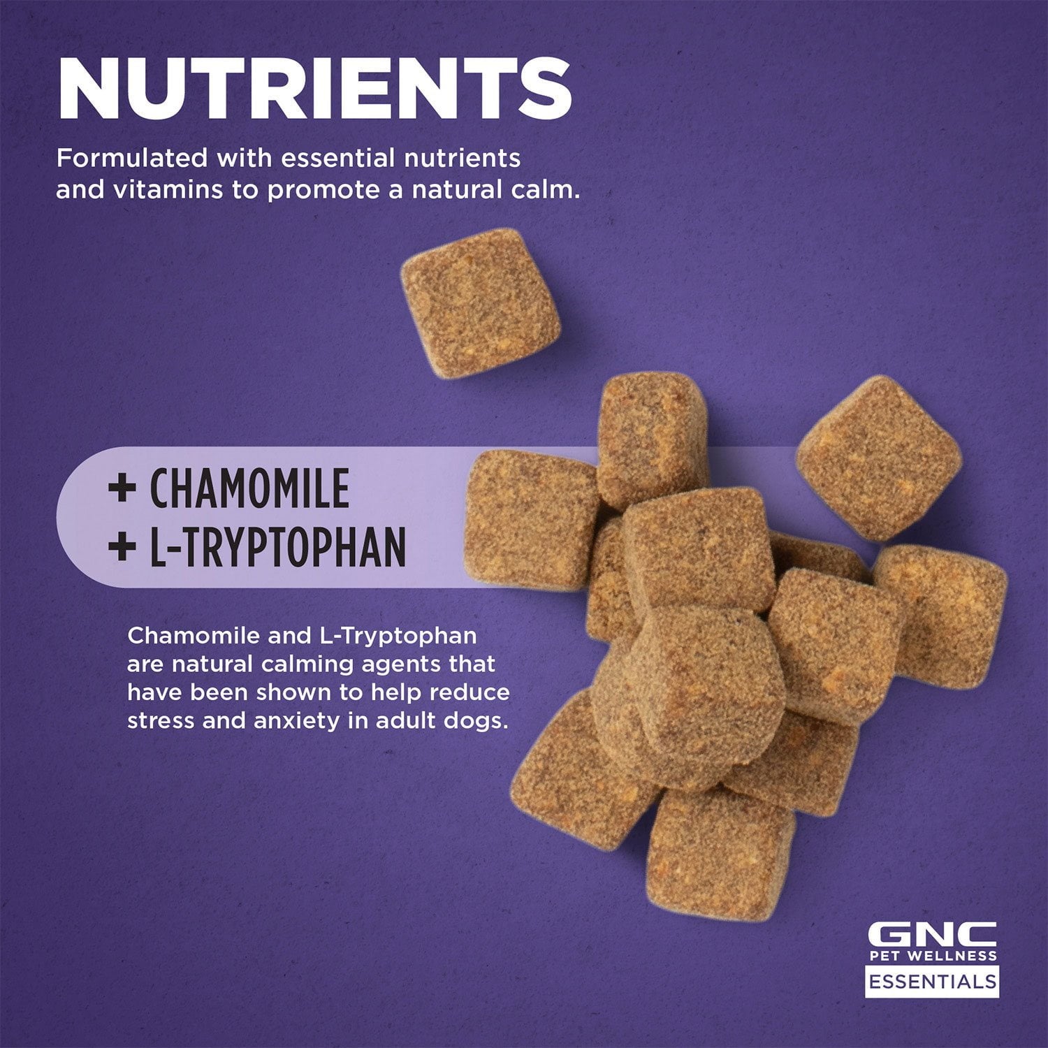 GNC ペット、ベーコン風味、落ち着くソフトチュー犬用サプリメント、180 個。