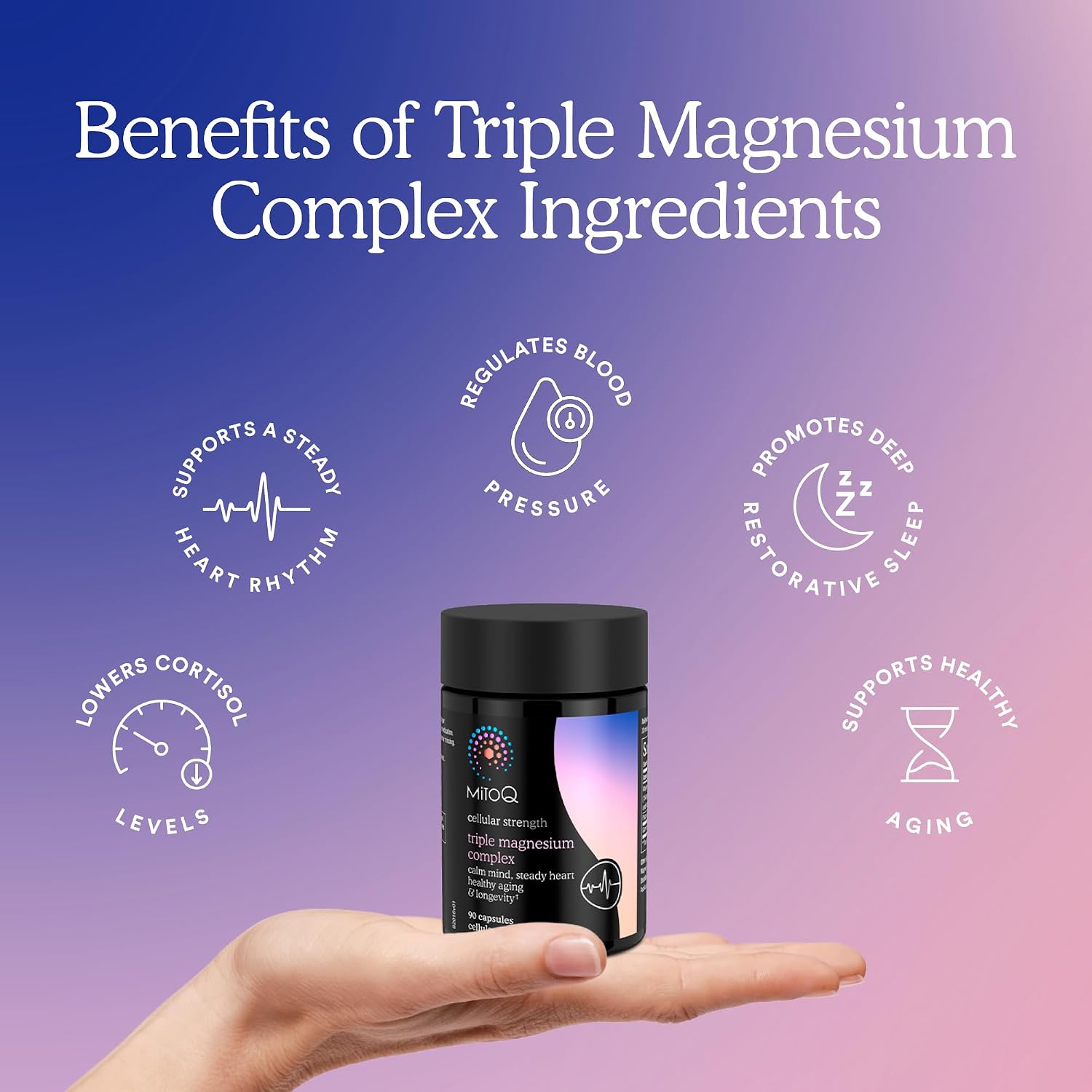 MitoQ Triple Magnesium 미토큐 트리플 마그네슘 + GABA 90캡슐
