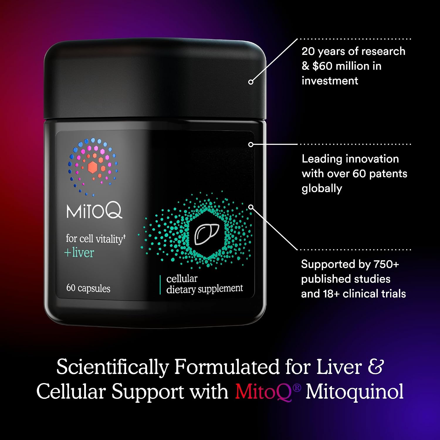 MitoQ +Liver 미토큐 플러스 리버 60캡슐 – 미토퀴놀·Siliphos 밀크시슬·콜린·셀레늄 간 건강 영양제
