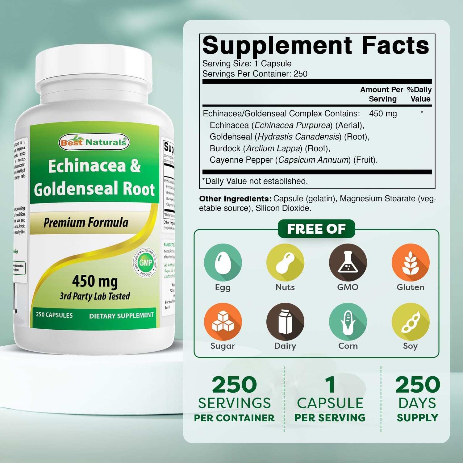 베스트 내추럴스 에키네시아 & 골든씰 루트 450mg 250캡슐 – Echinacea Goldenseal Root 허브 복합 포뮬러