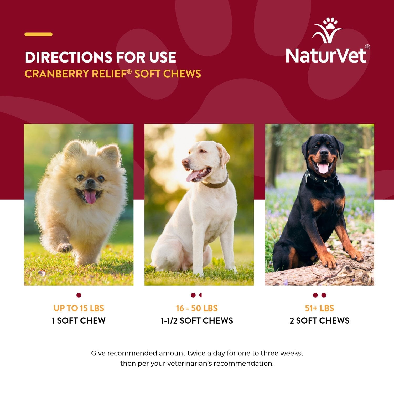 NaturVet、犬用クランベリーリリーフプラスエキナセアソフトチュー、120 個。