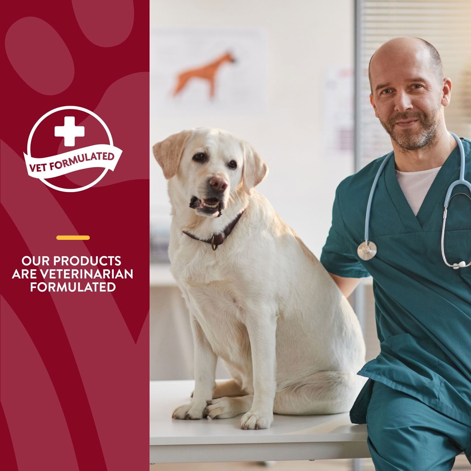 NaturVet、犬用クランベリーリリーフプラスエキナセアソフトチュー、120 個。