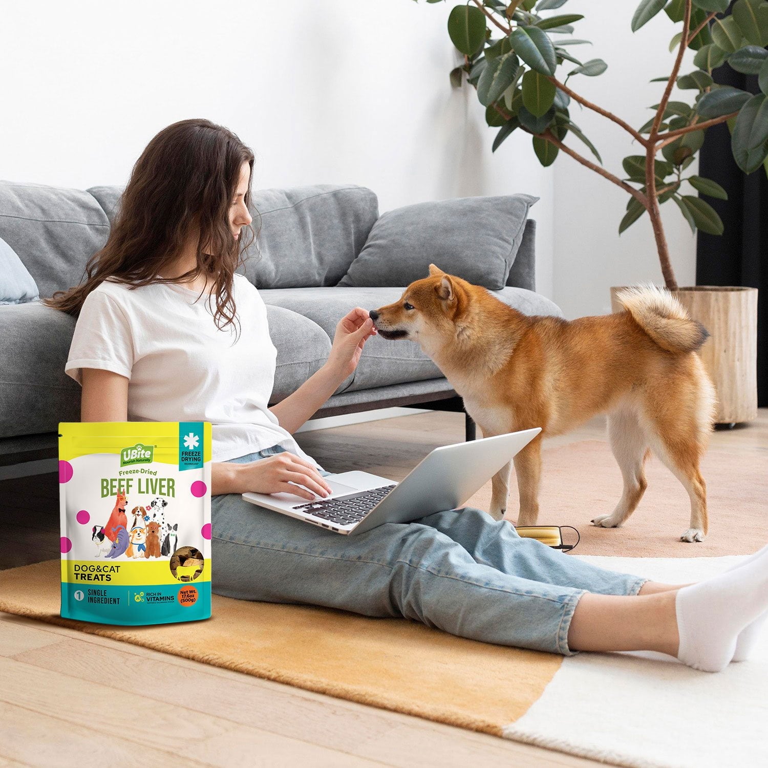 UBite Raw Bits フリーズドライ ビーフレバー 犬 + 猫用おやつ、17 オンス。
