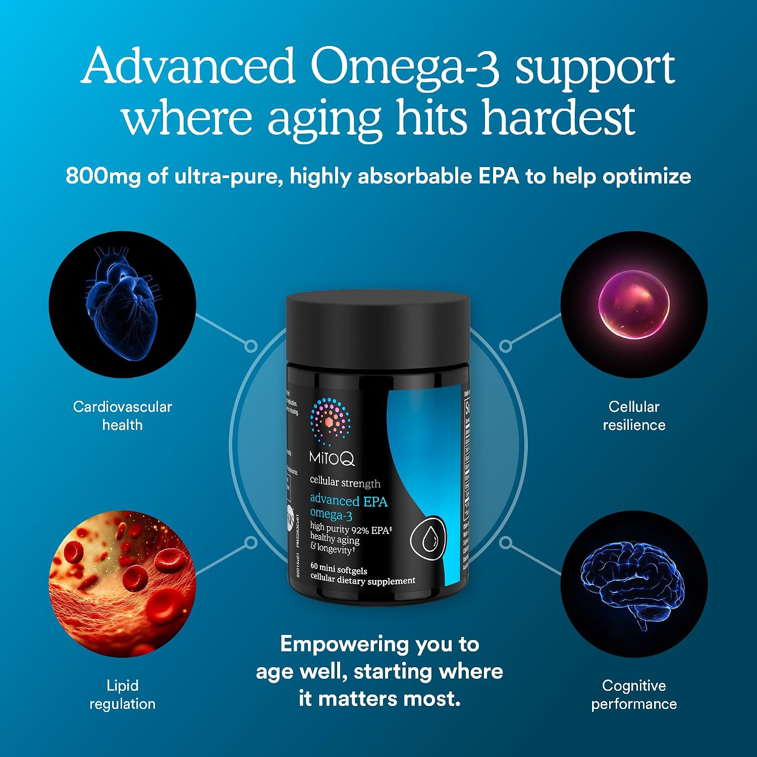 MitoQ Advanced EPA 오메가3 800mg + K2 D3 E 60소프트젤