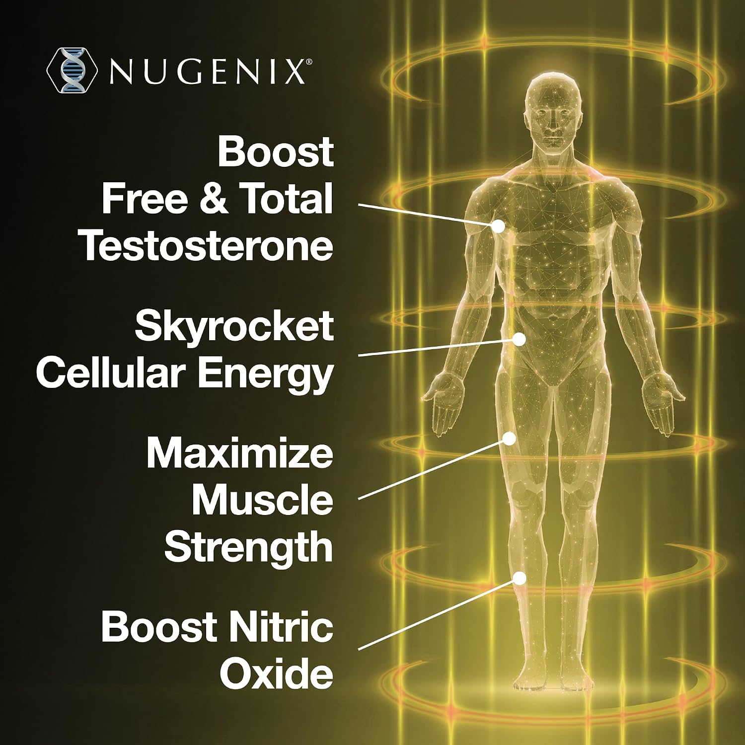 Nugenix 뉴제닉스 토탈 T2 남성 테스토스테론·산화질소 부스터 90정