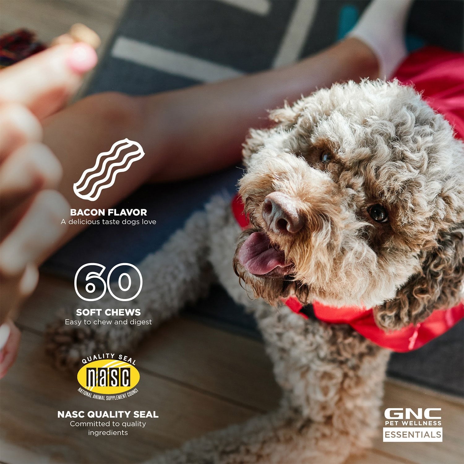 GNC ペット、ベーコン風味、落ち着くソフトチュー犬用サプリメント、180 個。