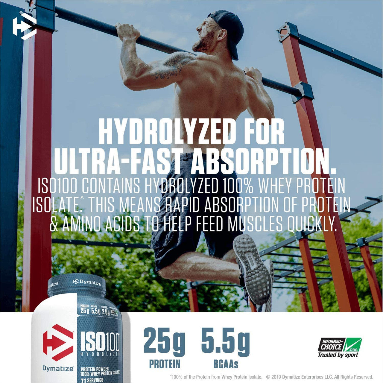 ダイマタイズ ISO100 5ポンド