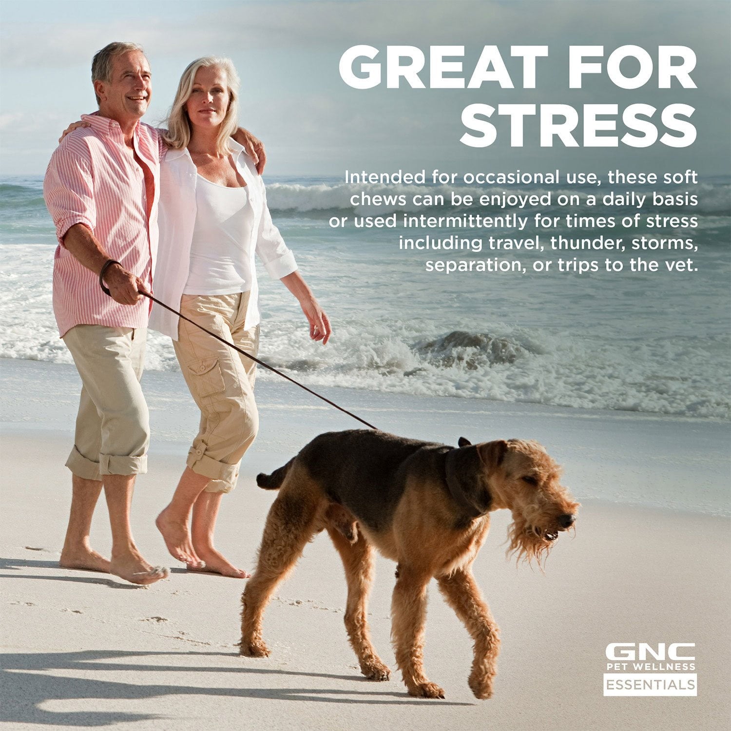 GNC ペット、ベーコン風味、落ち着くソフトチュー犬用サプリメント、180 個。