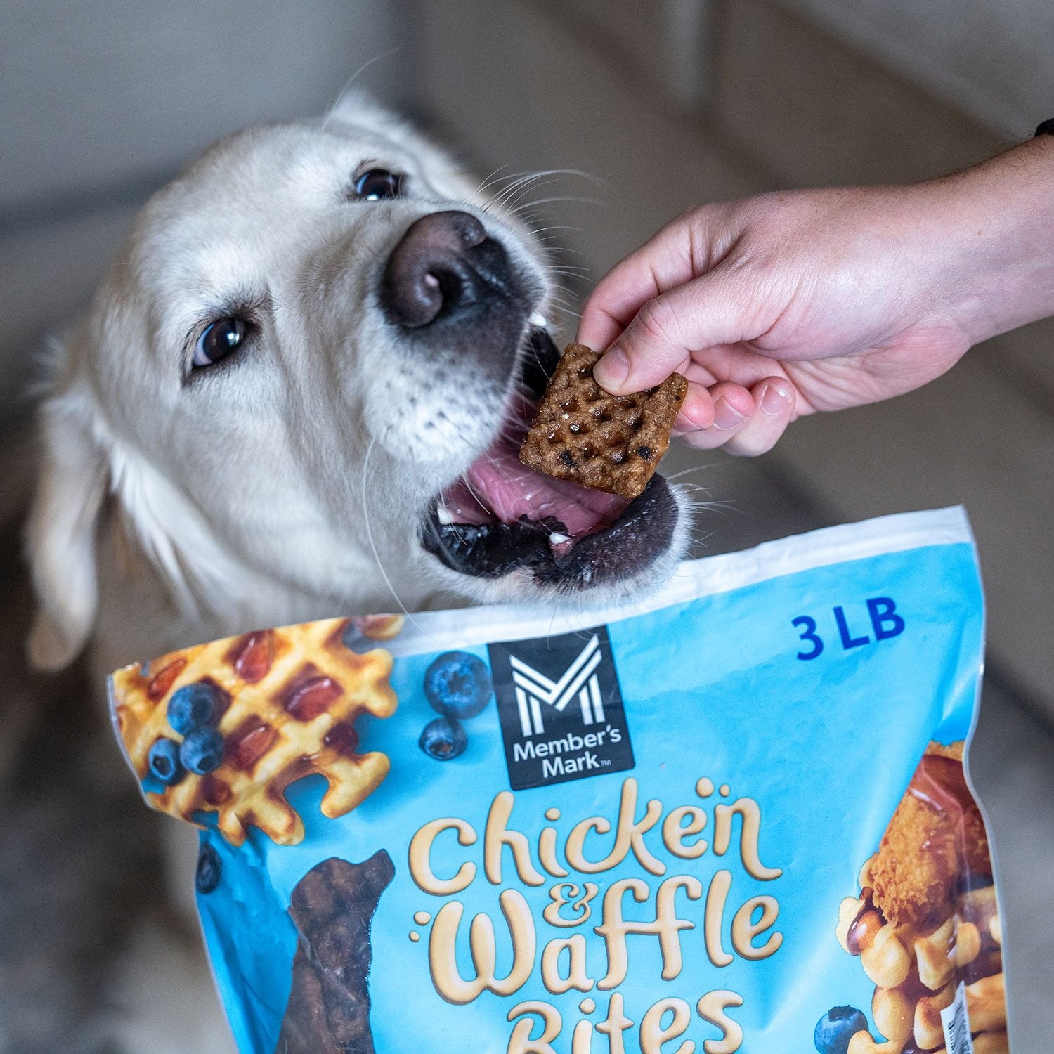 メンバーズマーク チキン＆ワッフルバイツ チキンレシピ ドッグトリーツ、48オンス。