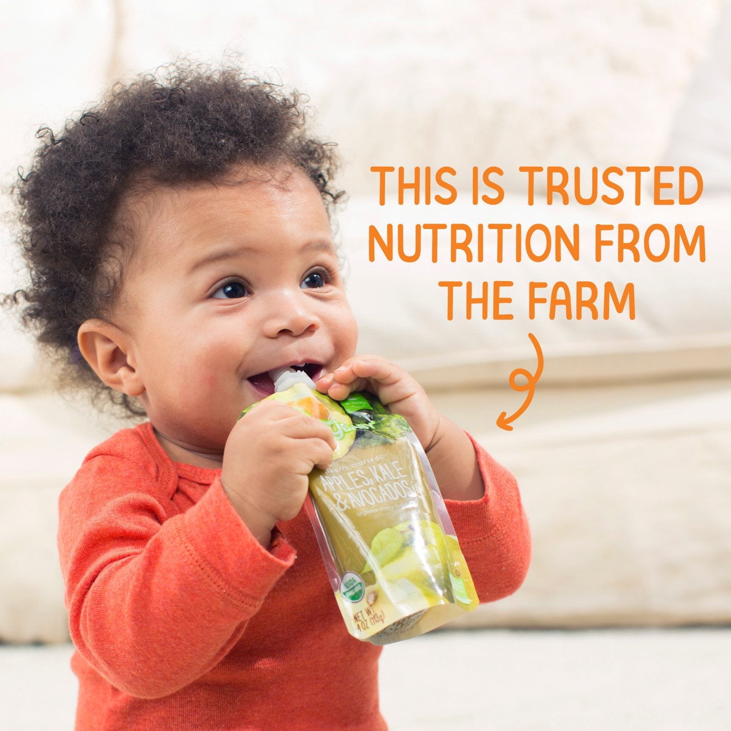HappyBABY Organics Clearly Crafted フルーツ &amp; オート麦ポーチ、バラエティパック、12 個入り、4 オンス。
