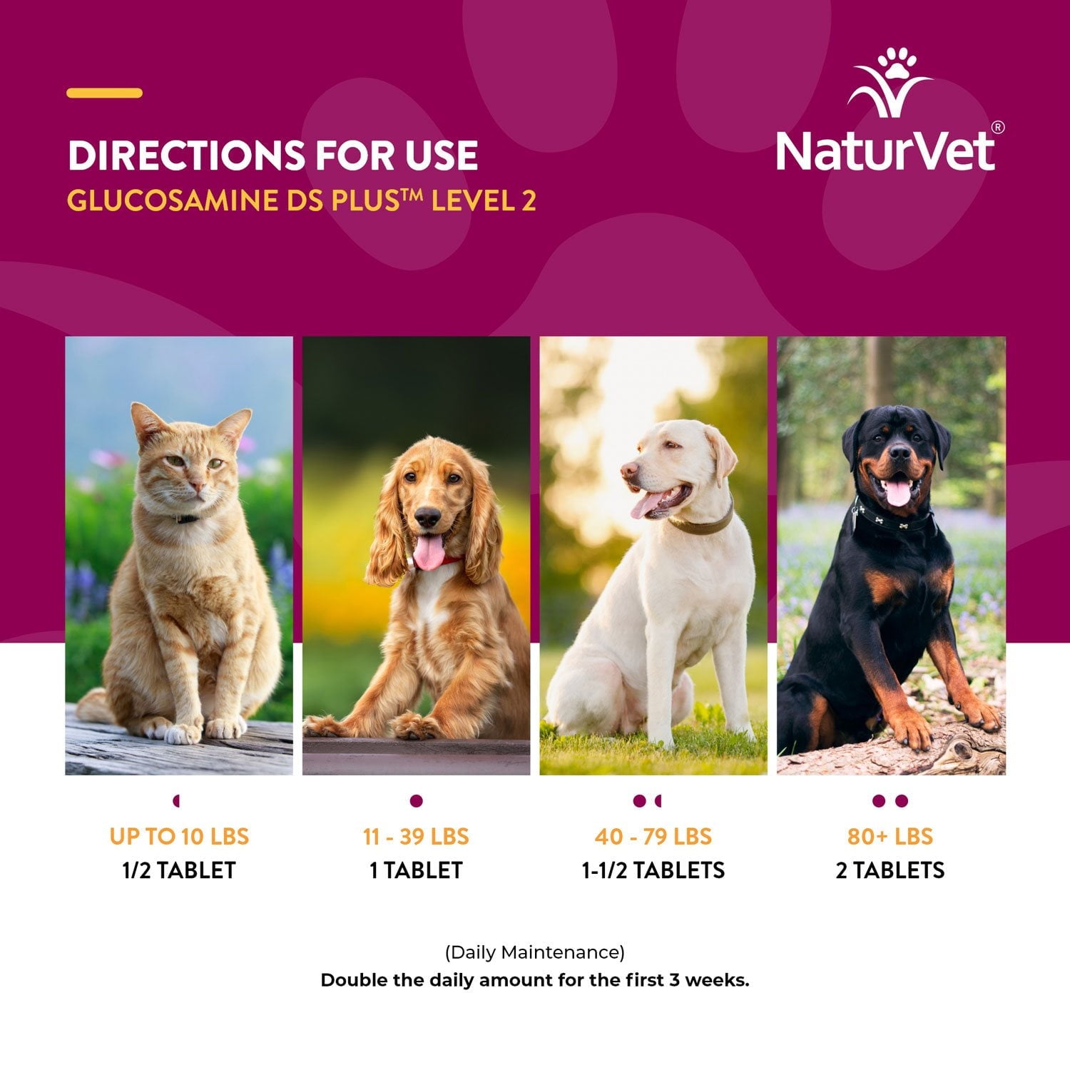 NaturVet、犬または猫用グルコサミン DS プラス レベル 2 タイムリリース タブレット、240 錠。