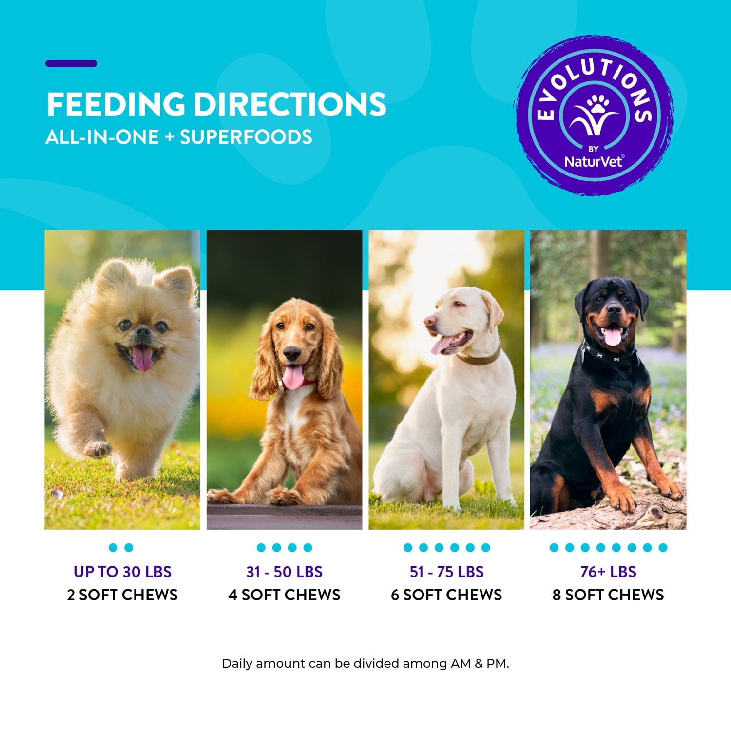 Evolutions by NaturVet、オールインワン プラス スーパーフード、犬用ソフトチュー、180 個。