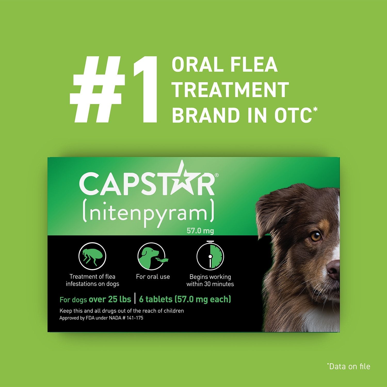 PetArmor Plus Capstar ノミ・ダニ駆除バンドル (大型犬用、45～88 ポンド)