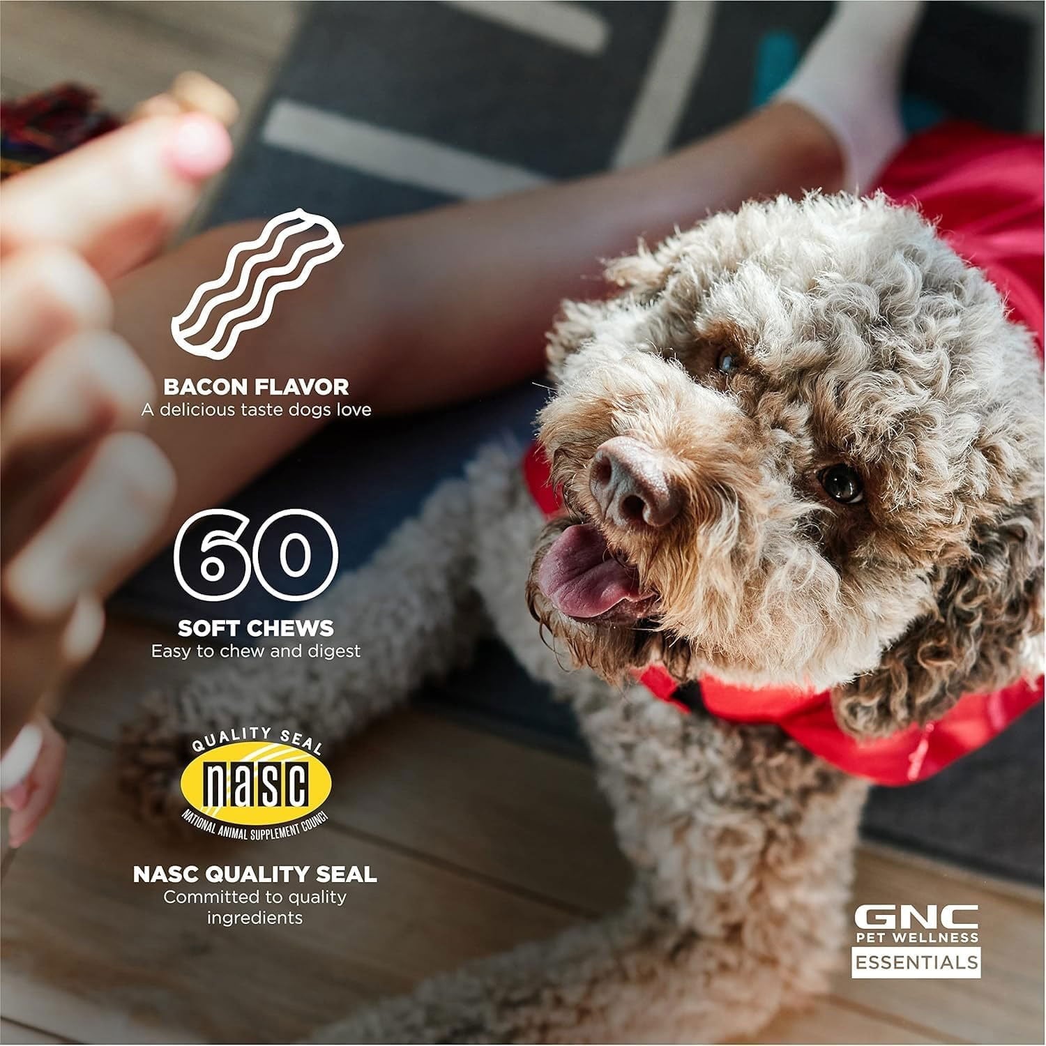 GNC ペット、ベーコン風味、犬用消化ソフトチュー、180 個。